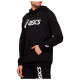 Asics Ανδρικό φούτερ Big Asics OTH Hoodie